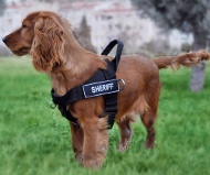 Bestseller ID Geschirr aus Nylon für Spaniel mit Klettlogo